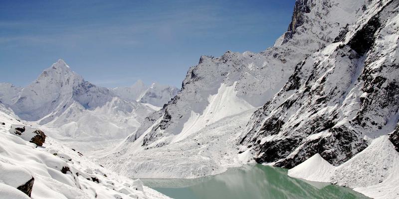 养生指南：宠物家庭必备的芳香精油安全使用手册