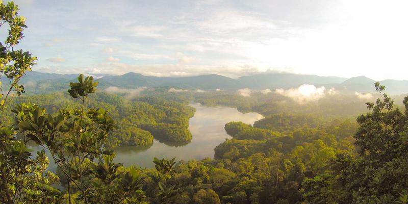 冬季心灵疗愈指南：柑橘类精油与光疗结合，告别季节性情绪失调