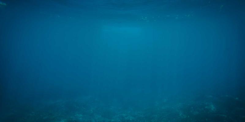 办公室提神醒脑必备：薄荷精油的5种高效应用与精油疗法全解析