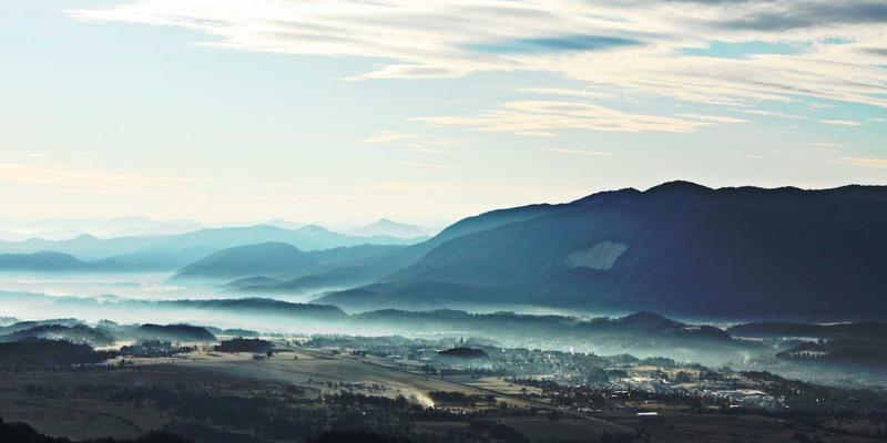 探索精油世界：从芳香精油到疗愈艺术的完整指南