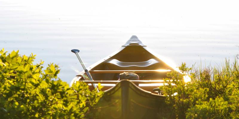 更年期身心平衡之道：快乐鼠尾草与天竺葵精油的激素调节应用研究