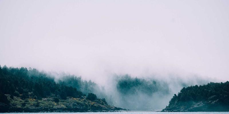 精油42：解锁芳香精油的健康养生密码与实用知识