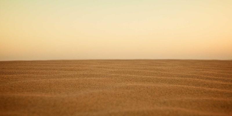 精油47：解锁自然疗愈力，开启健康养生新篇章