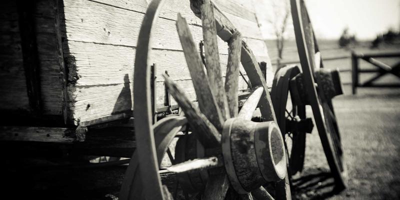 精油80问：从入门到精通的实用指南与安全知识