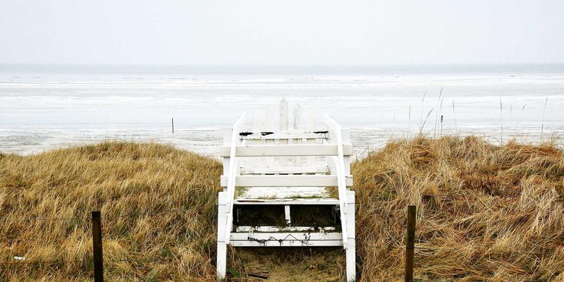 精油86:解锁芳香精油的健康密码与实用养生指南