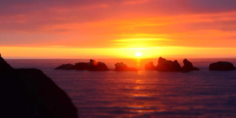 精油光敏性警告：使用柑橘类精油后安全防晒的时间与措施 | 精油知识与养生指南