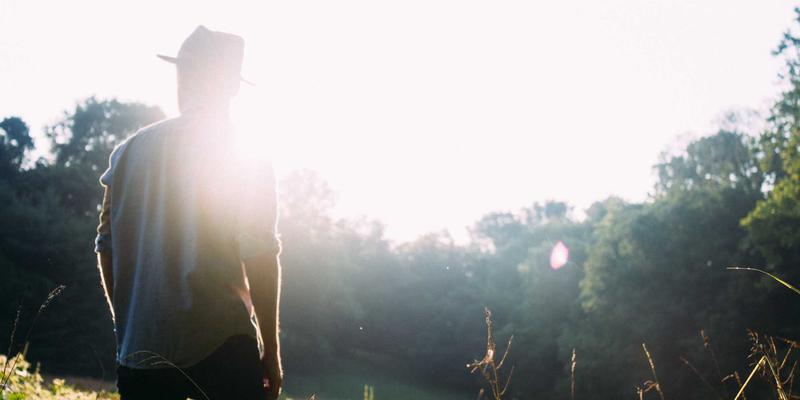 精油全攻略：从入门知识到养生疗法，开启自然疗愈之旅