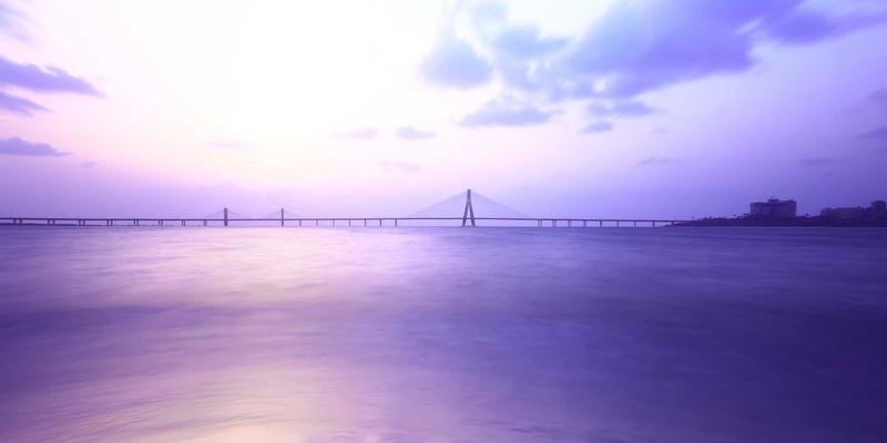 精油养生指南:解锁精油疗法的科学使用之道