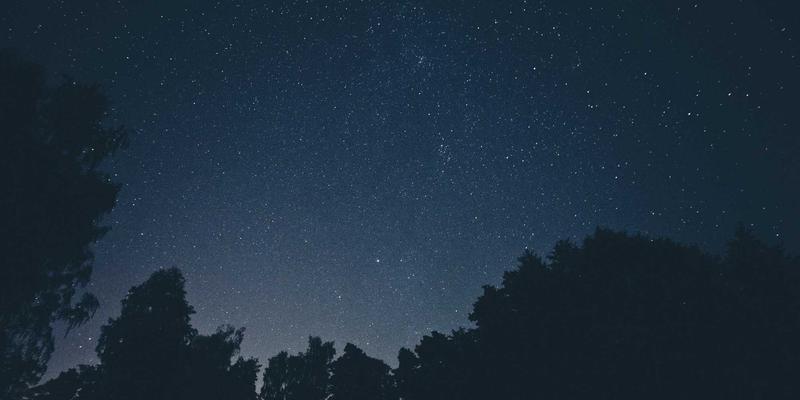 精油奥秘：解锁健康养生的芳香密码