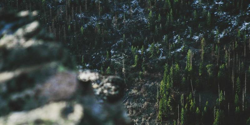 精油按摩手法全解：从淋巴引流到穴位按压的居家操作指南