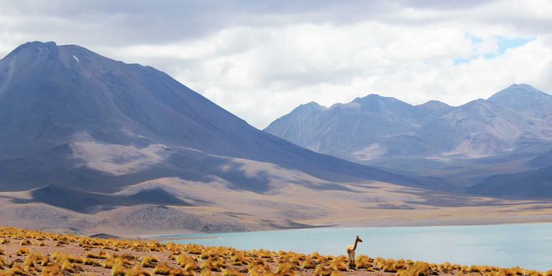 精油疗法必知：柑橘类精油的光敏性解析与科学防晒指南