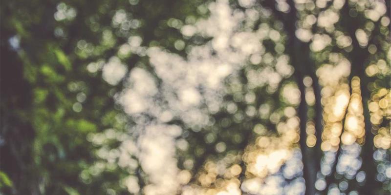 精油的情绪密码：解锁柑橘类精油对抗焦虑与压力的芳香疗法