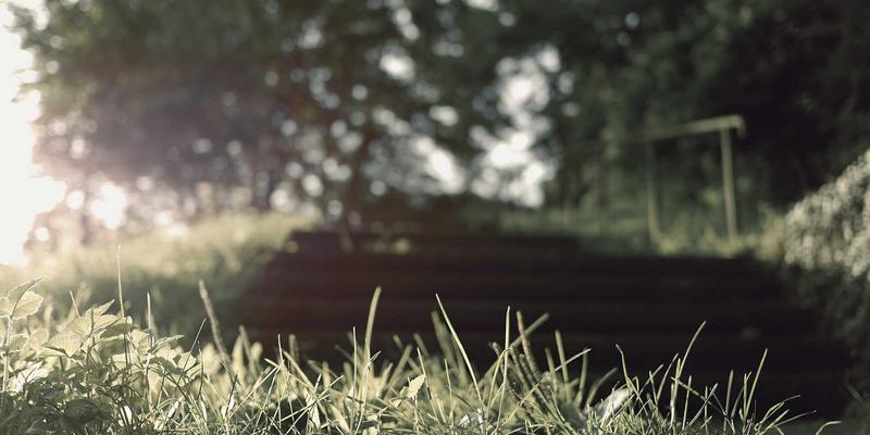 精油进阶指南:从入门到精通的芳香奥秘