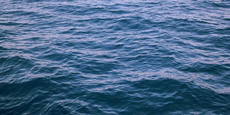 缓解焦虑与压力的芳香处方：临床芳疗中用于情绪管理的复方精油养生指南