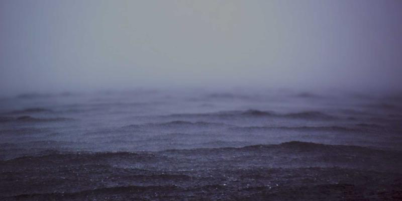 芳香精油89：解锁自然疗愈力的终极养生指南