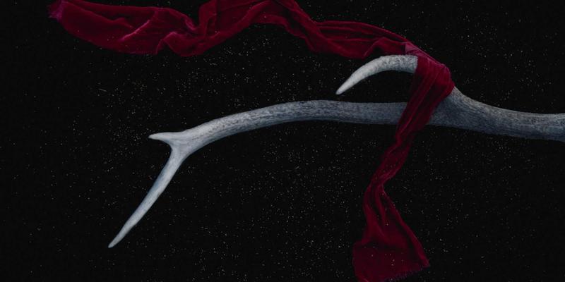 芳香精油养生指南：科学储存避免氧化，锁住最佳功效与香气