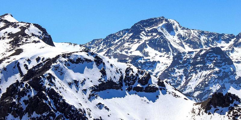 芳香精油化学入门：揭秘单萜烯与酯类如何影响情绪与生理健康