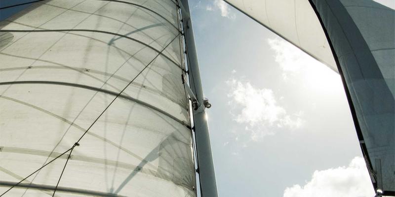 芳香精油：自然馈赠的健康养生艺术