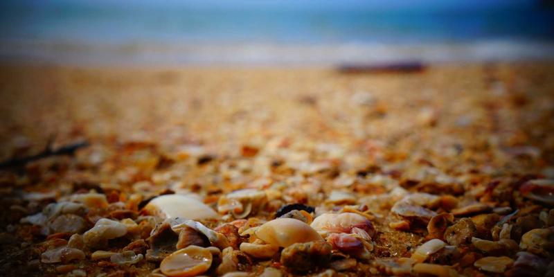 薰衣草精油助眠的正确使用方法与注意事项 | 精油知识与健康养生指南