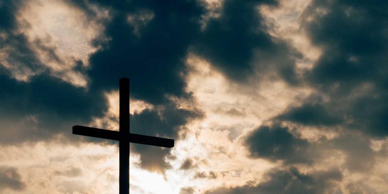 解锁玫瑰精油的护肤奥秘：从精油知识到DIY面部精华油全攻略